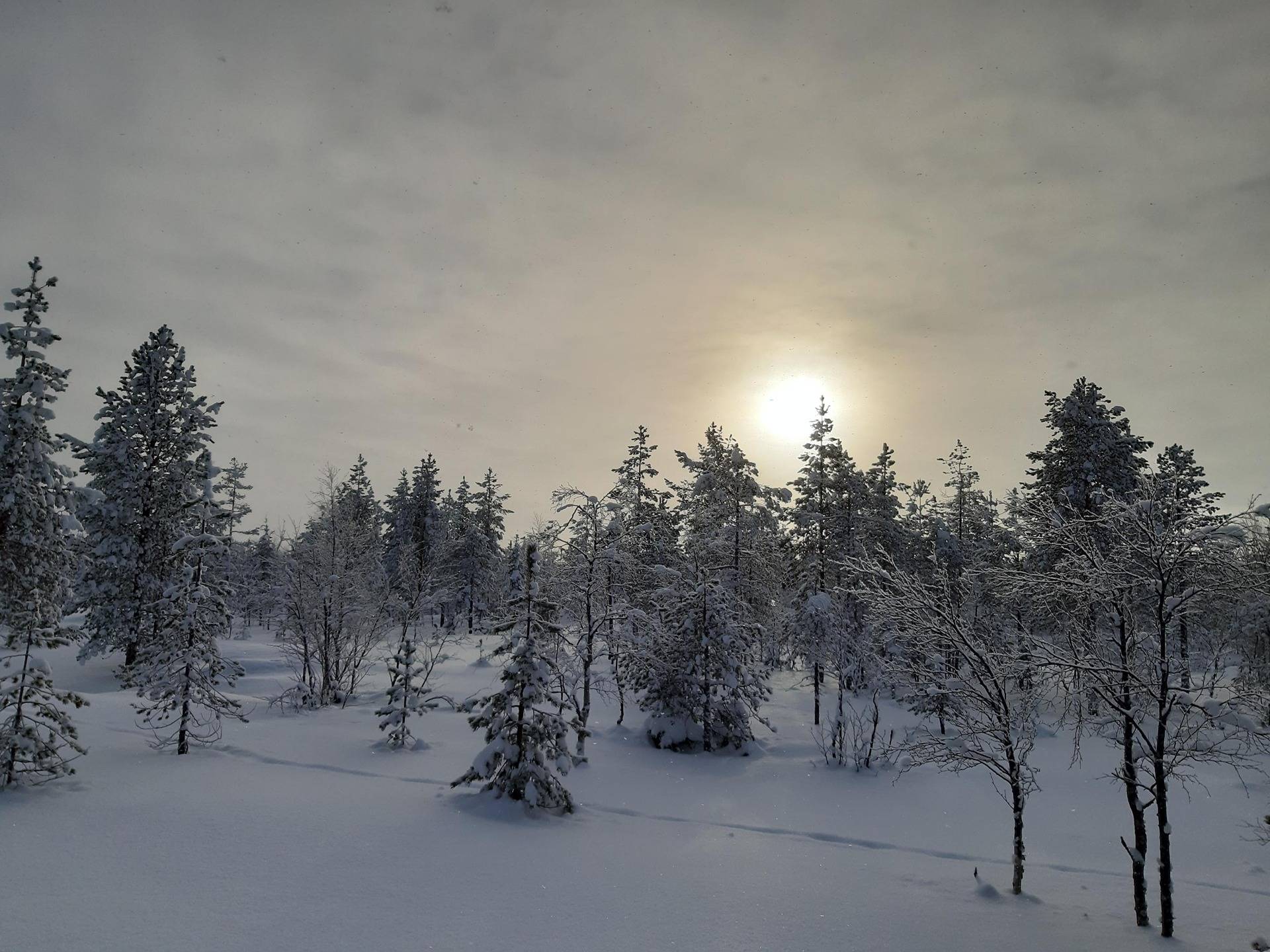 Kuusamon yhteismetsä osuus 0,033900 1