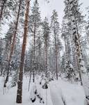 Rantala 778-424-3-38 1