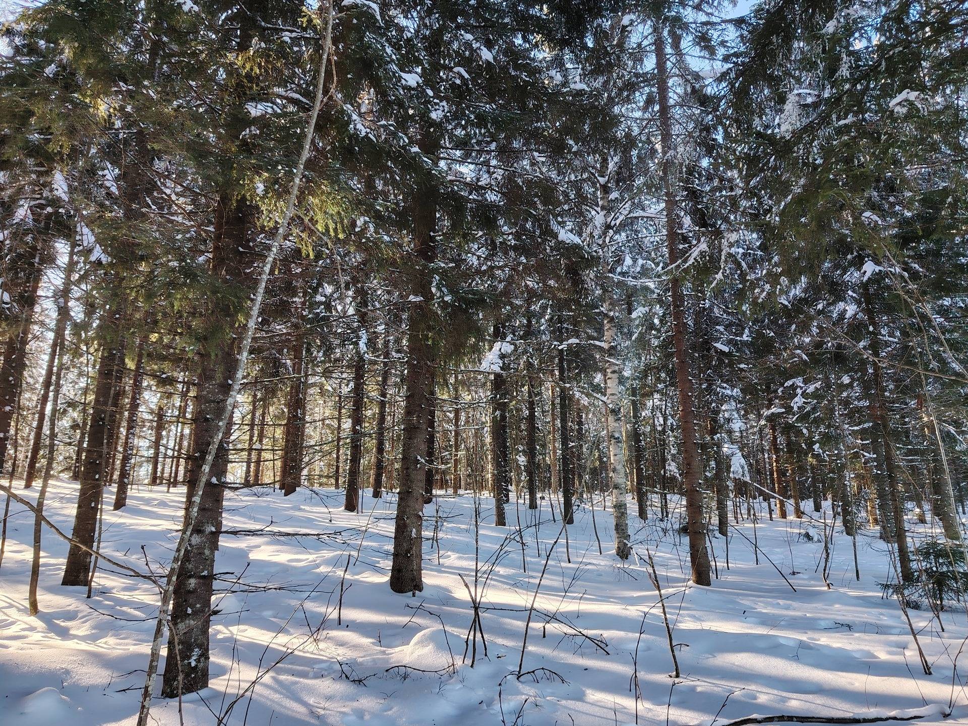 JUSSILA 260-425-3-16 1