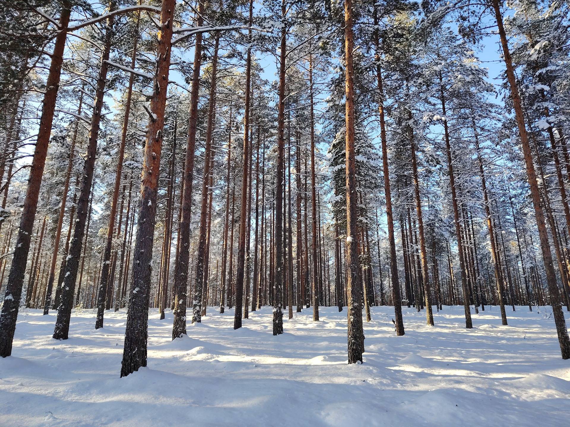 TOPILA 260-405-4-28 Tasapää 1