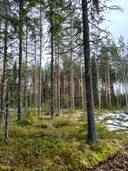 Hovila 778-412-2-11 määräala. Peltola 778-412-2-13 1