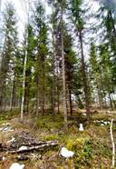 Hovila 778-412-2-11 määräala. Peltola 778-412-2-13 1