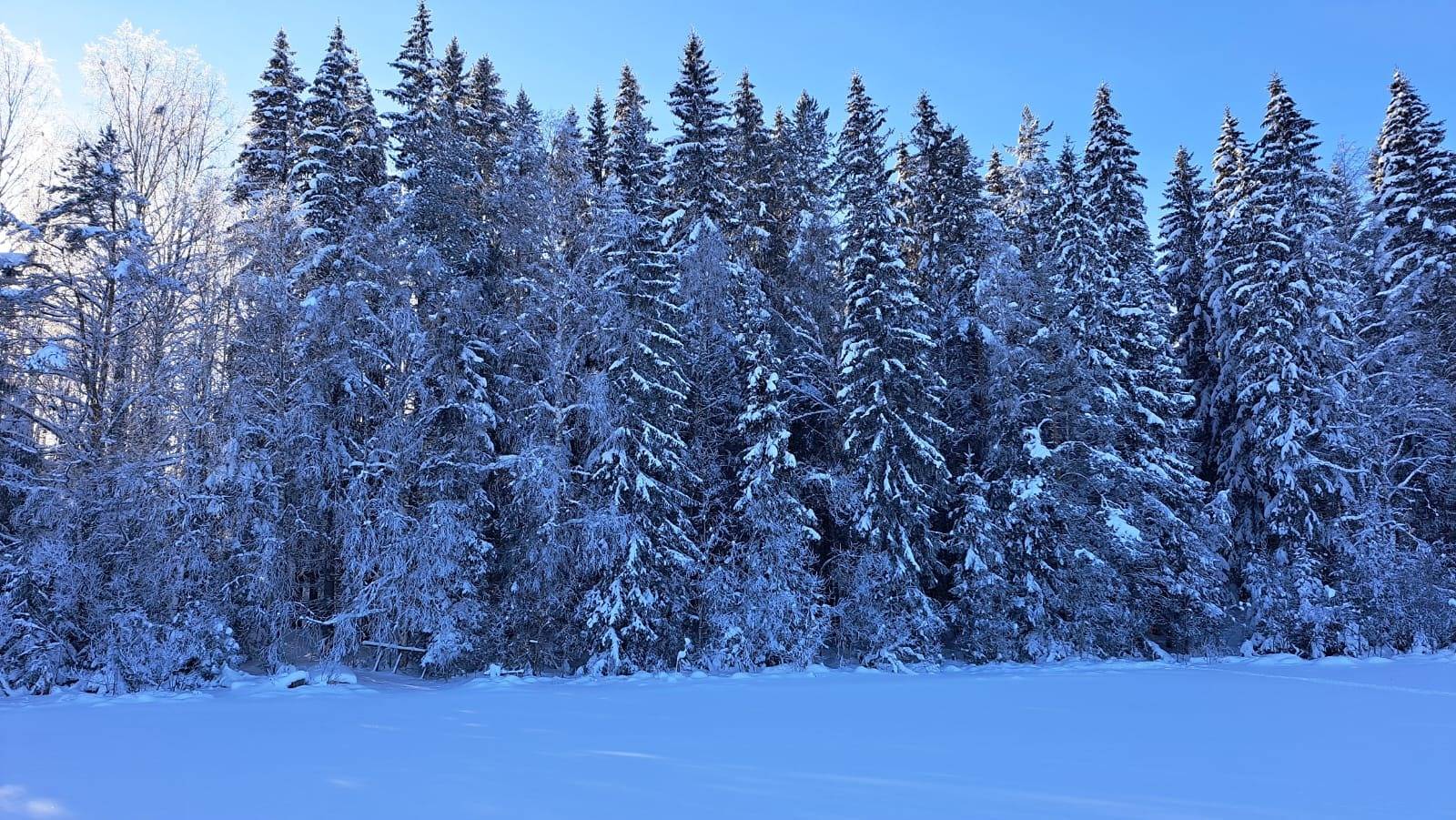 Vapaa-ajan rantatontti 3-18 Syväri, Nilsiä 1