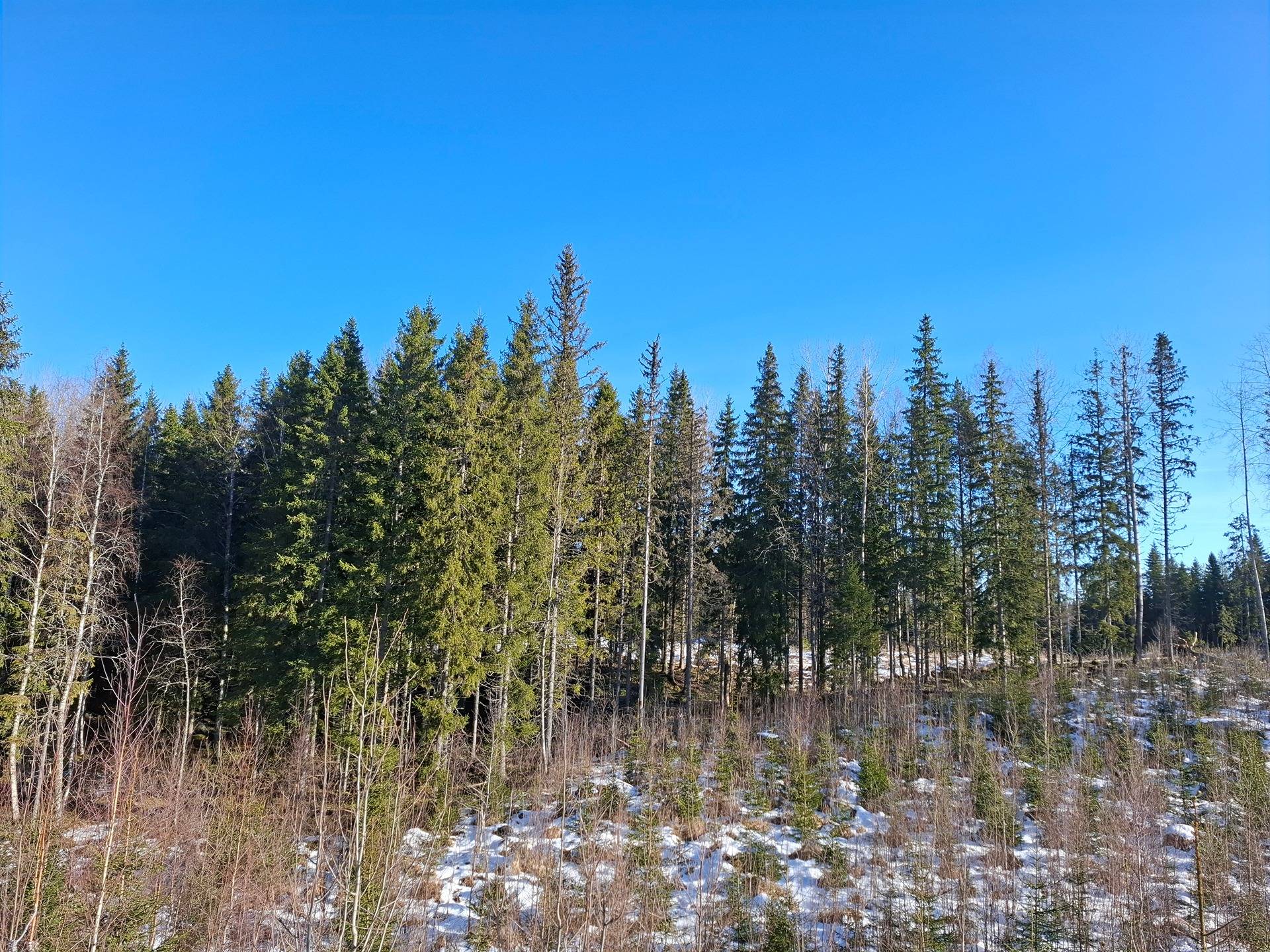 Pöllö 790-564-4-3 ja Huhtala 790-564-1-14 1