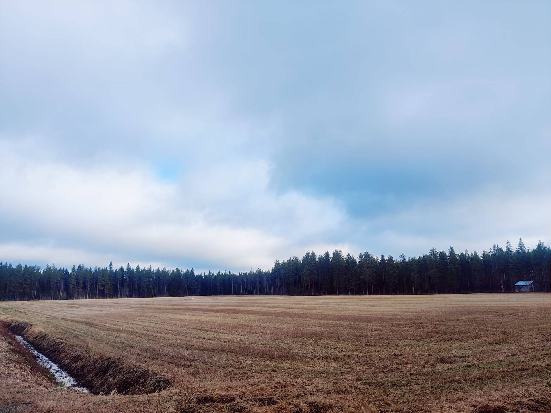 Kannus Viirre 19:11 ja Kytölä 19:6 määräala peltoja 15,21 ha 1