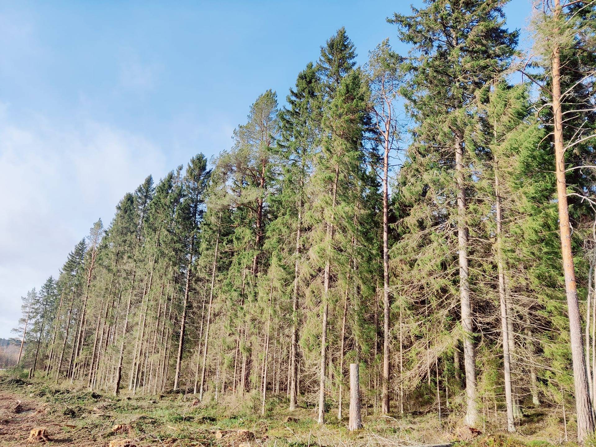 Lohtaja Ala-viirre Metsätila Mäki-Kerola 5:7 26,25 ha 1