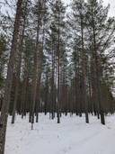 Välisalmi 2, 777-403-40-18 1