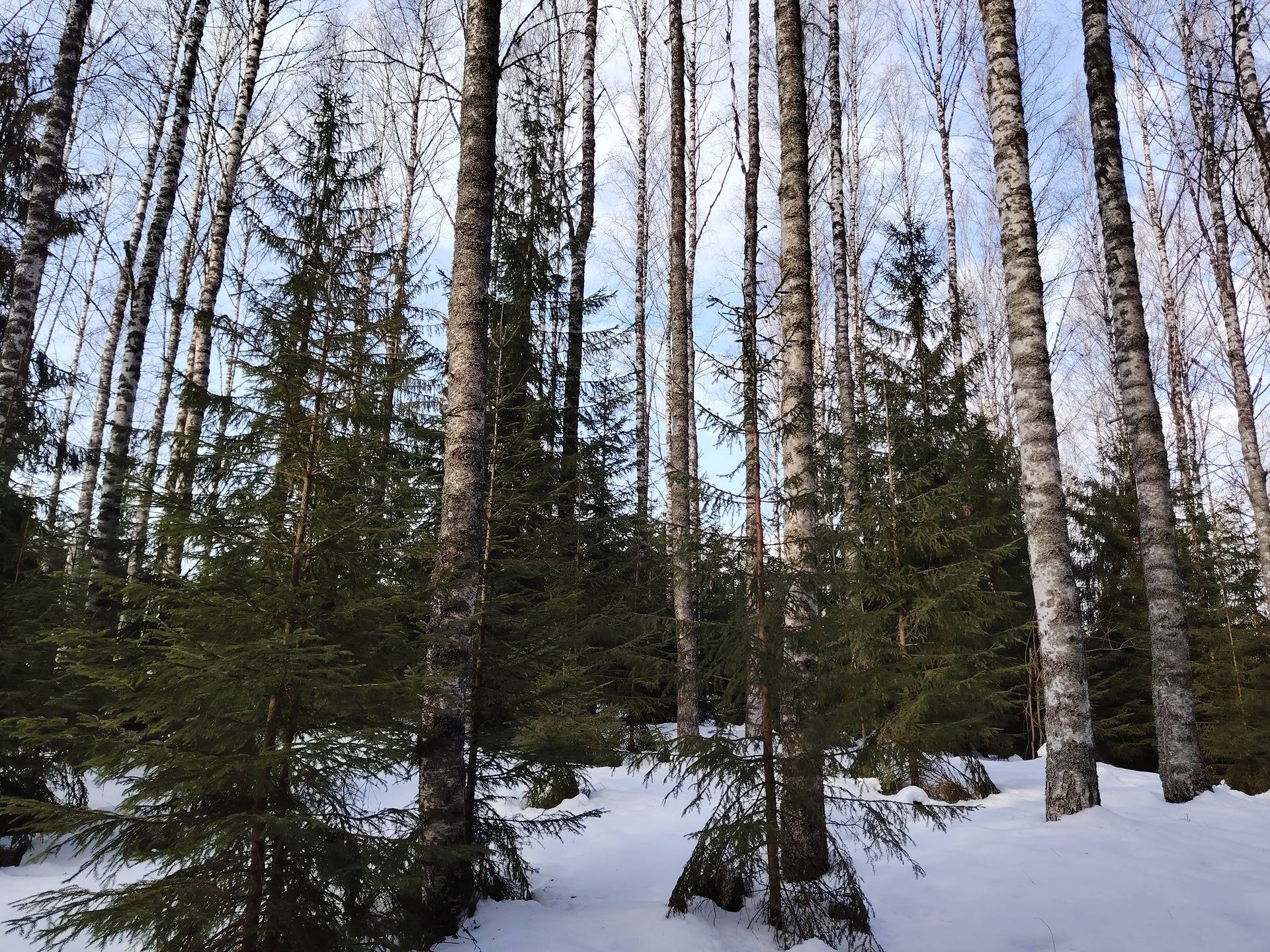 PANNUNPOHJA 260-418-5-3 Närsäkkälä 1