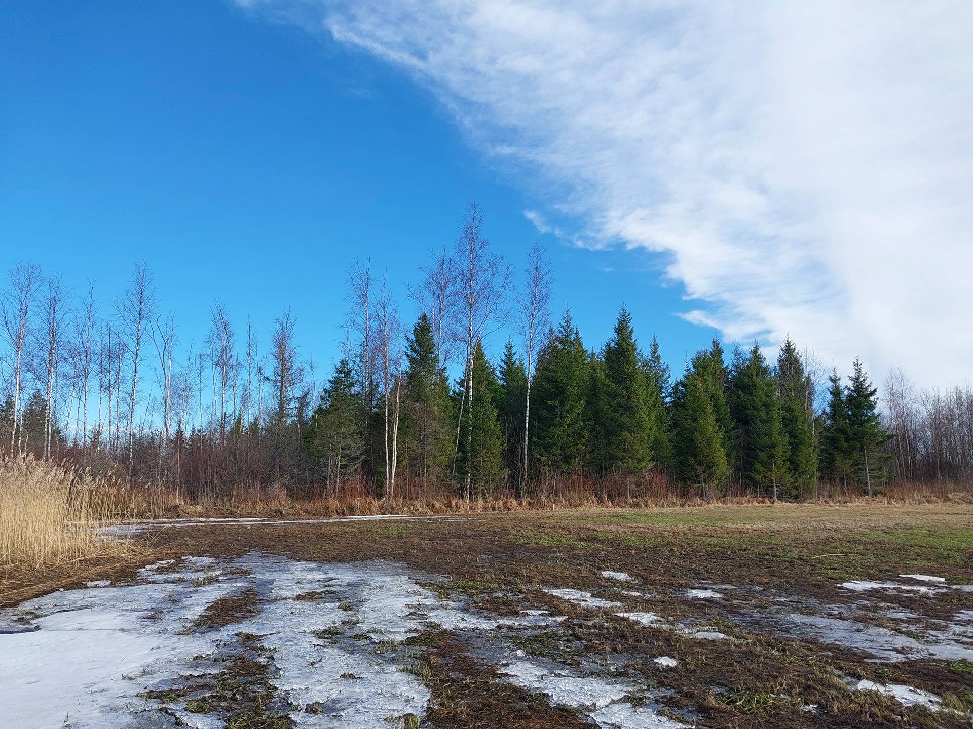 Skrifvars 1:84, Bäckby 1