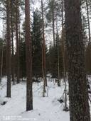 Kuusela 226-403-3-40 1