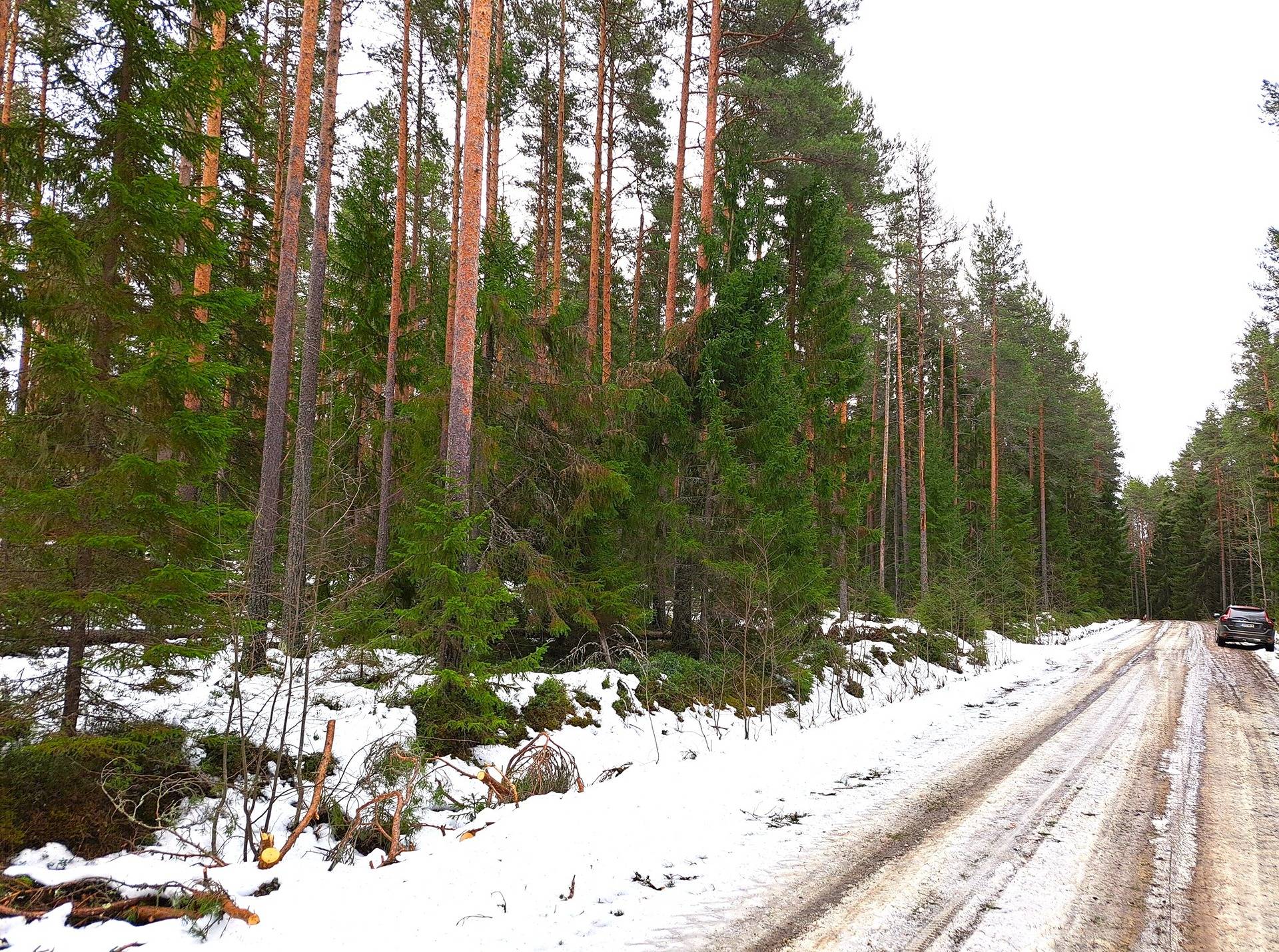 Lappajärvi Tarvola TERHINMETSÄ 6:182 metsätila 0,780 ha 1