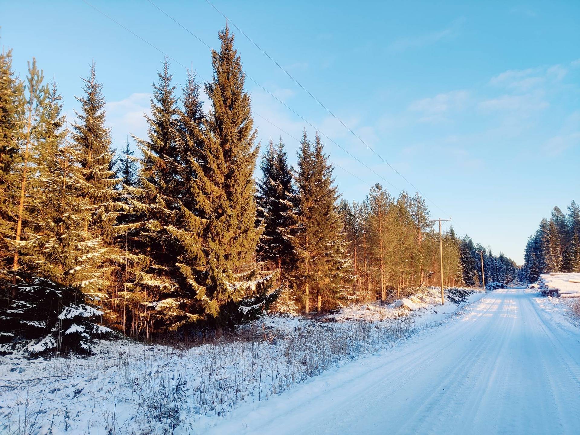 Lohtaja Konttilanniemi Lättymettä 104:3 17,09 ha ja Luikussa Alakorpi 52:2 noin 5 ha. 1