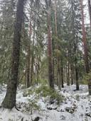 del av/osa Lundas 22:11, Öster-Yttermark 1