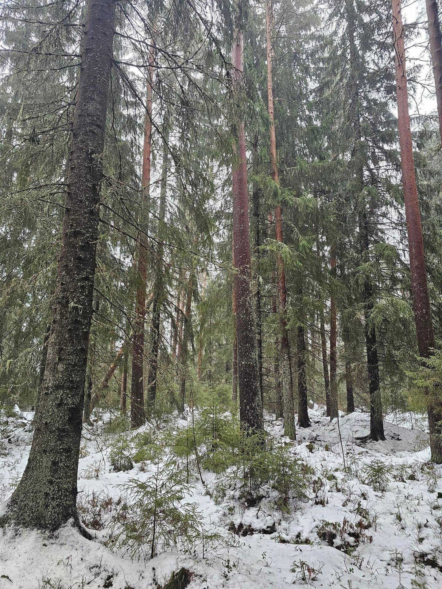 del av/osa Lundas 22:11, Öster-Yttermark 1