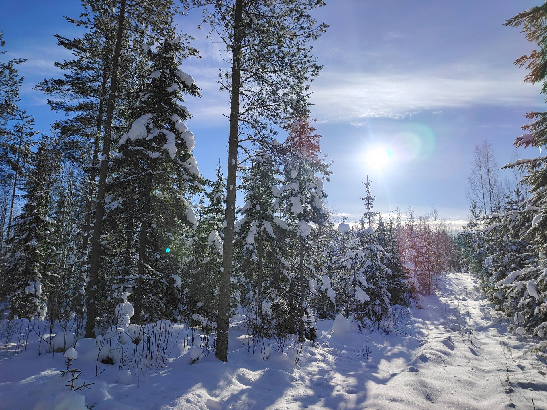 LEIPÄPELTO 167-419-4-10, Eimisjärvi 1