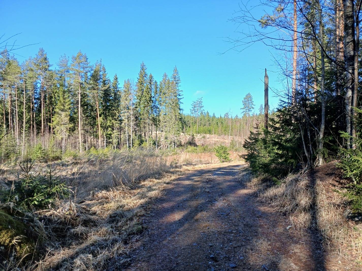 Huhdanmäki 2:36 määräala, Urjala 1