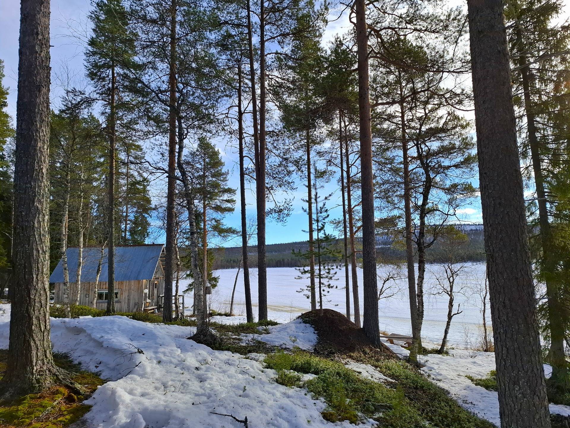 Metsä-Kaapela 758-411-21-28 1