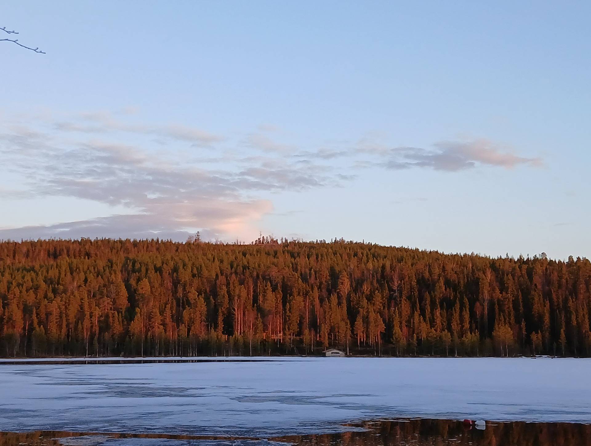 Omslagsbild för objektet Kuusamon yhteismetsä osuus 0,0165