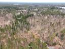 Kuusi hyvänkokoista hoidettua metsätilaa / Sex stora välskötta skogsfastigheter säljs. 1