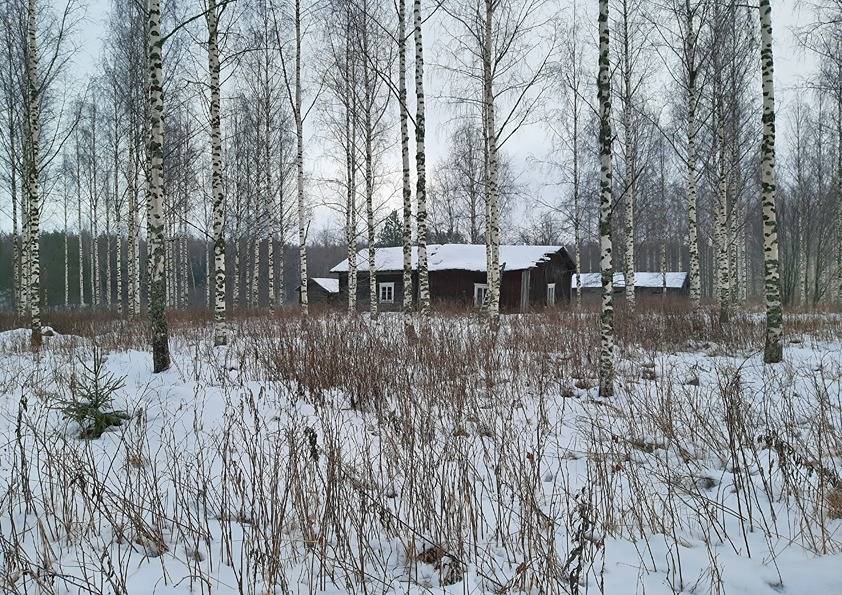 Viholansaari 7:19 (420-441-7-19) 1