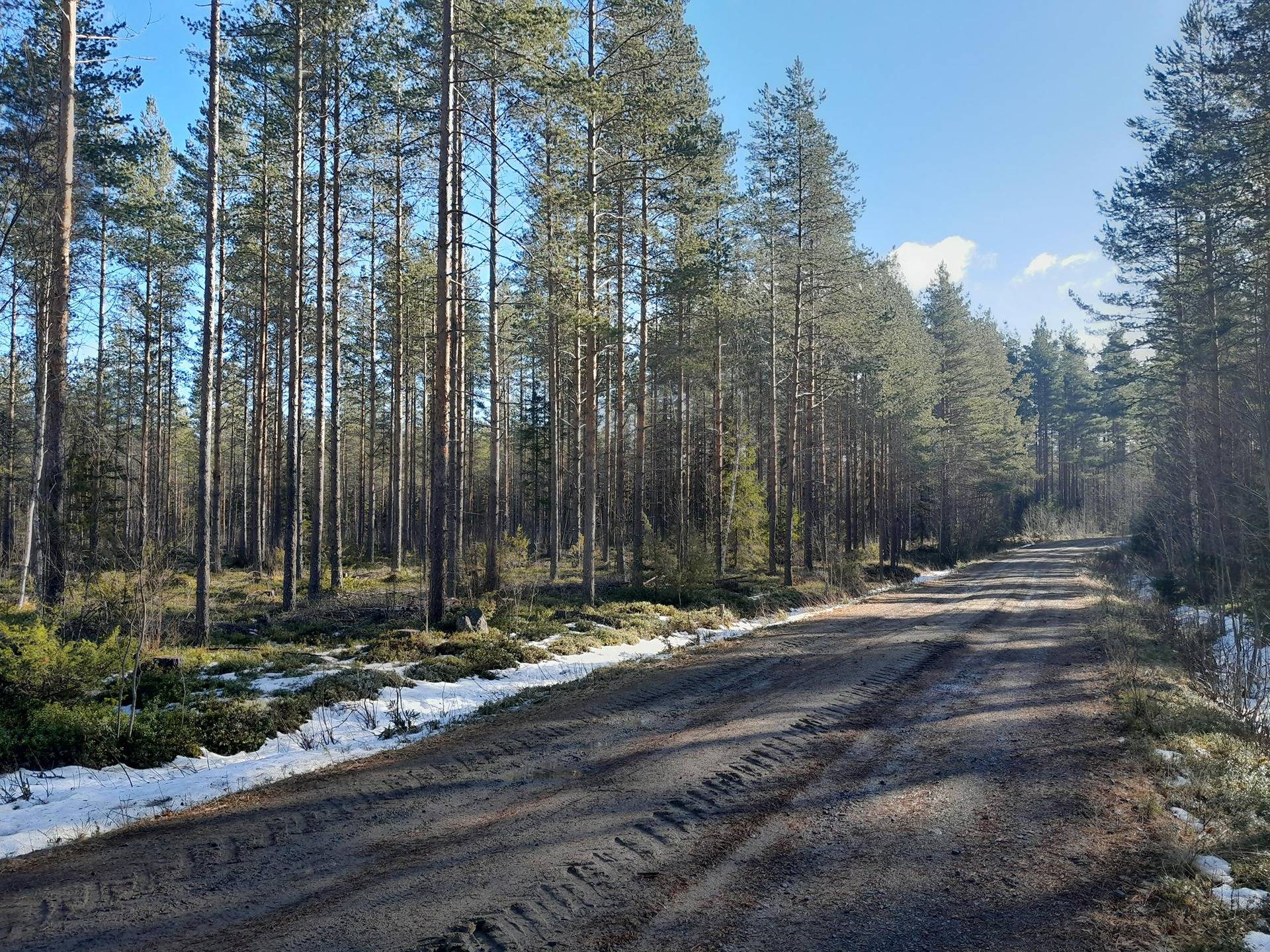 Vuoririnne 729-406-1-282 1