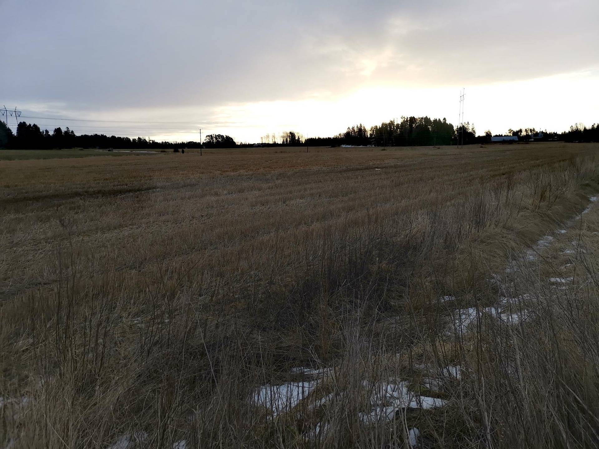 Peltotila: 3,872 ha, Vainio-Lauri; R:no 51-413-1-20, Eurajoki 1