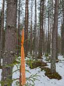 YÖTTÄJÄN PERUKKA 541-420-19-2, Yöttäjä 1