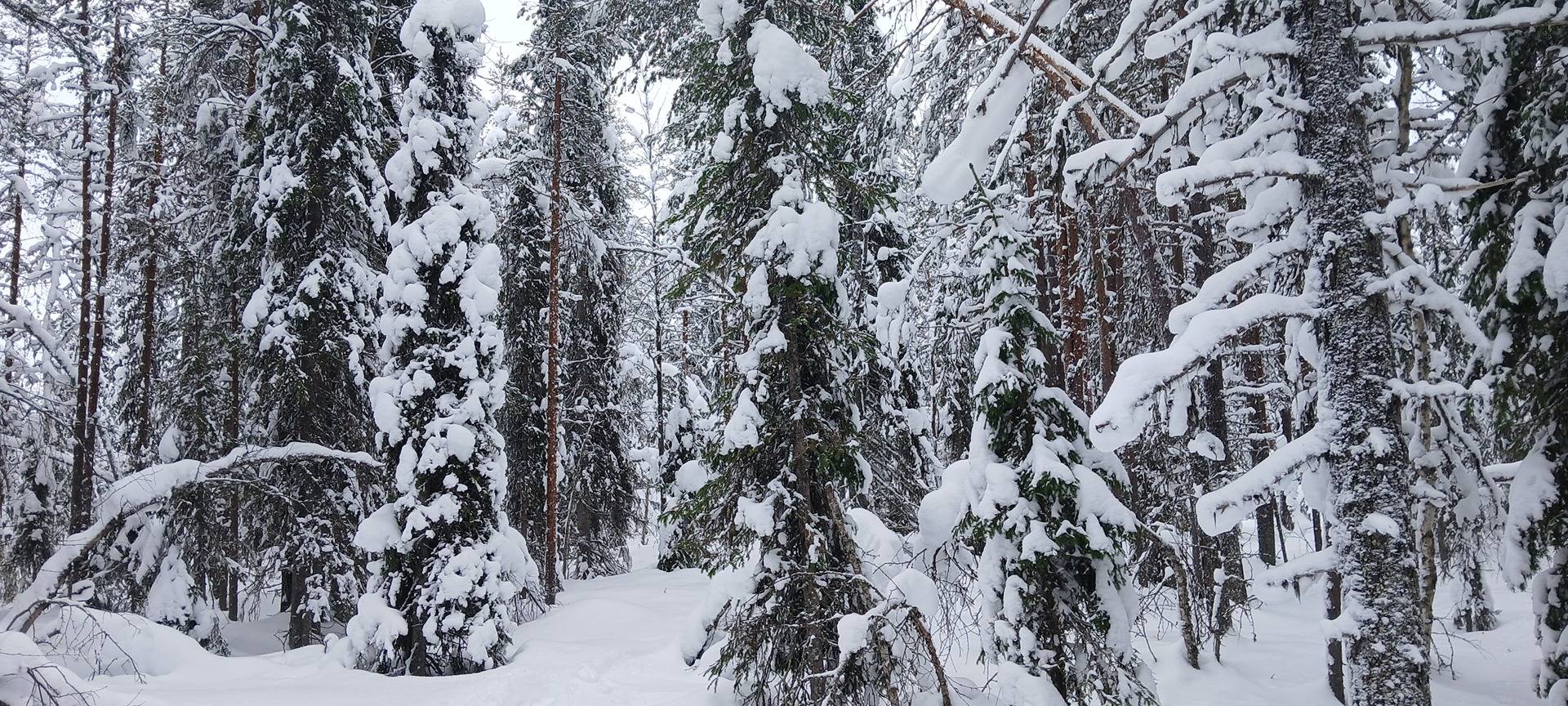 Asentokumpu 758-416-7-14 1