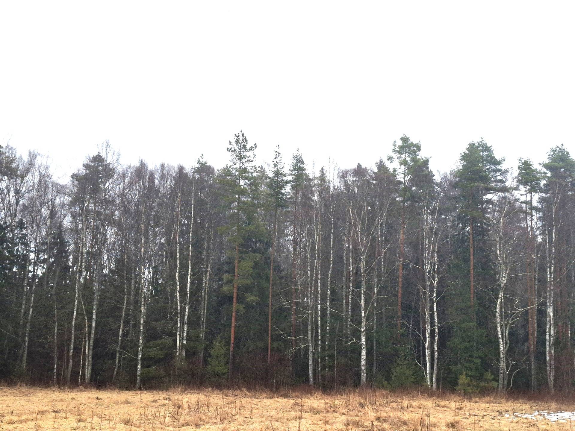 Korpi 790-522-3-99 1