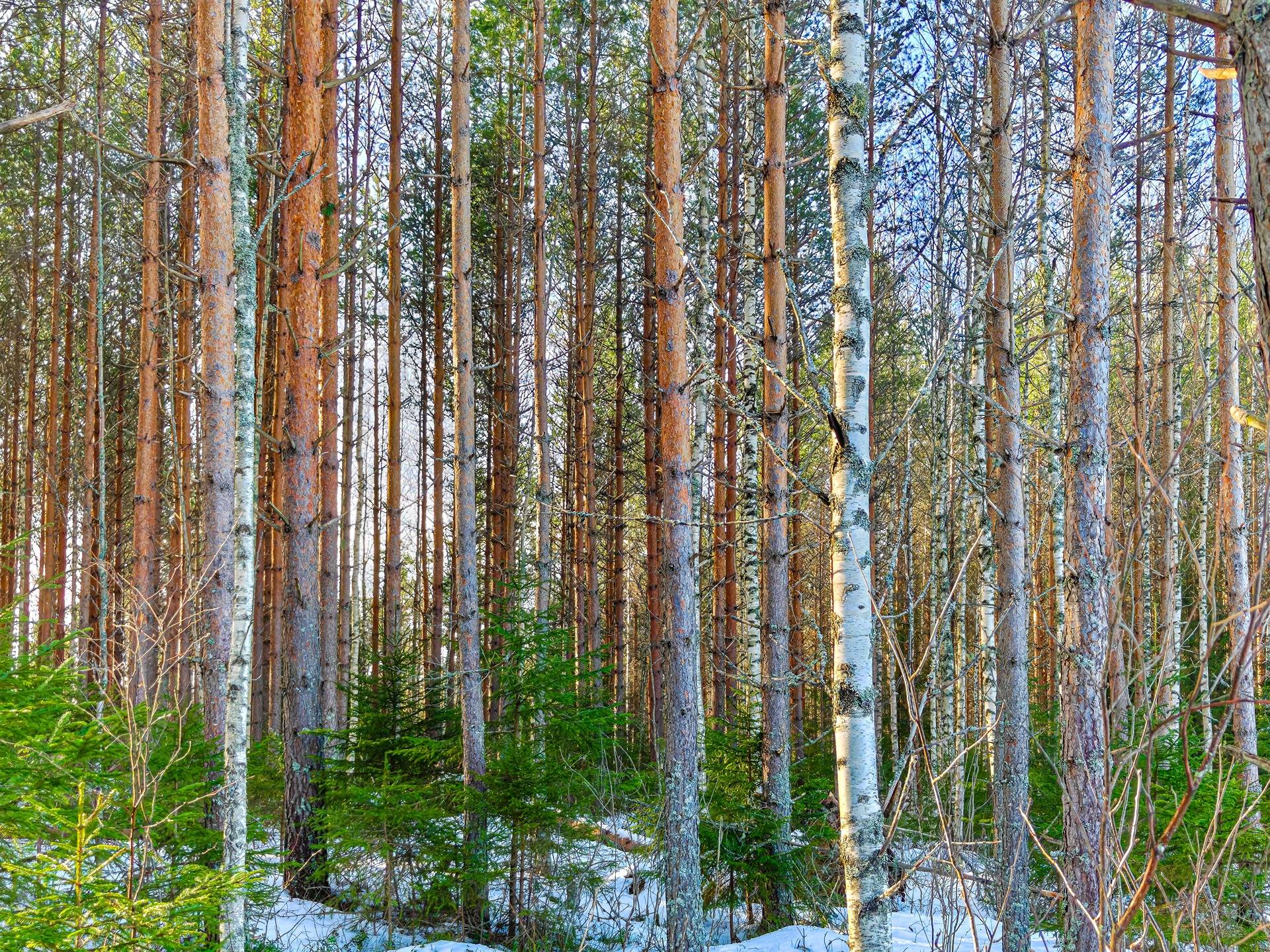 Lapua, Kauhajärvi, Kuivilantie, Oja 408-409-4-143 (määräala) 1