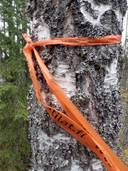 Haamutila Rauhala 111-401-1-3 (osuus Metsänomistajien yhteismetsään 61,875/7656) 1