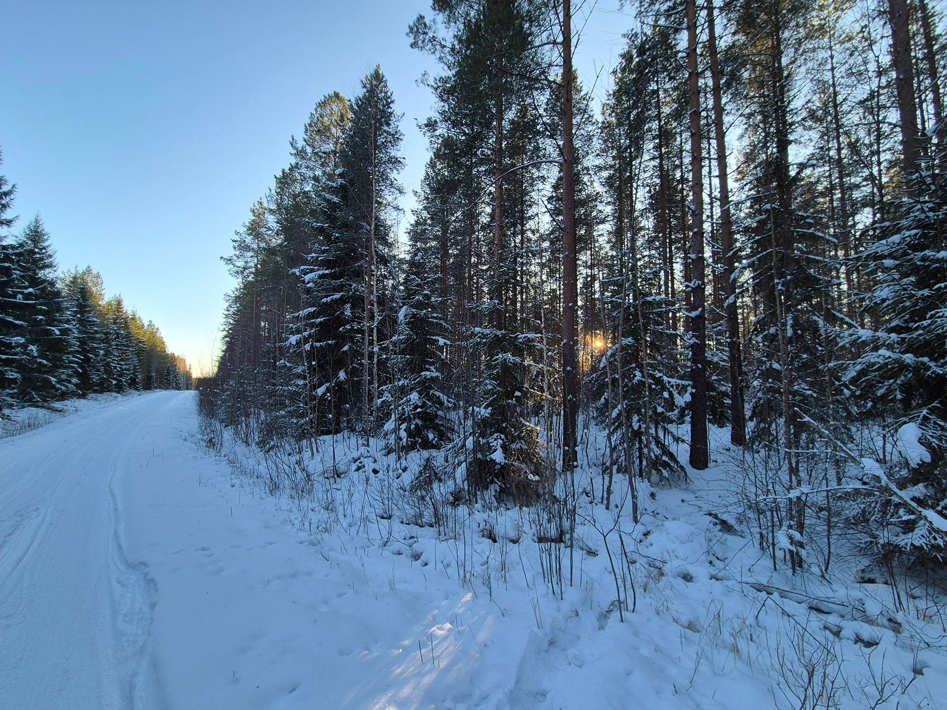 Keskinen 12:20 ja Mettäkytö 5:125 1