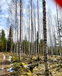 Harjunmäki 239-402-5-84 1