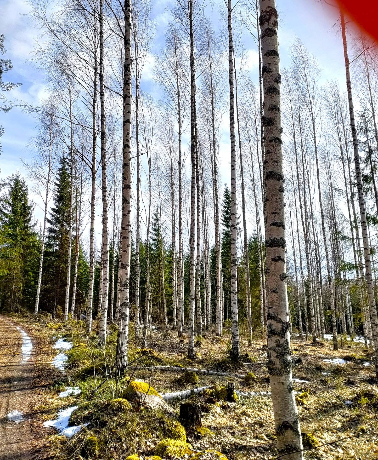 Harjunmäki 239-402-5-84 1