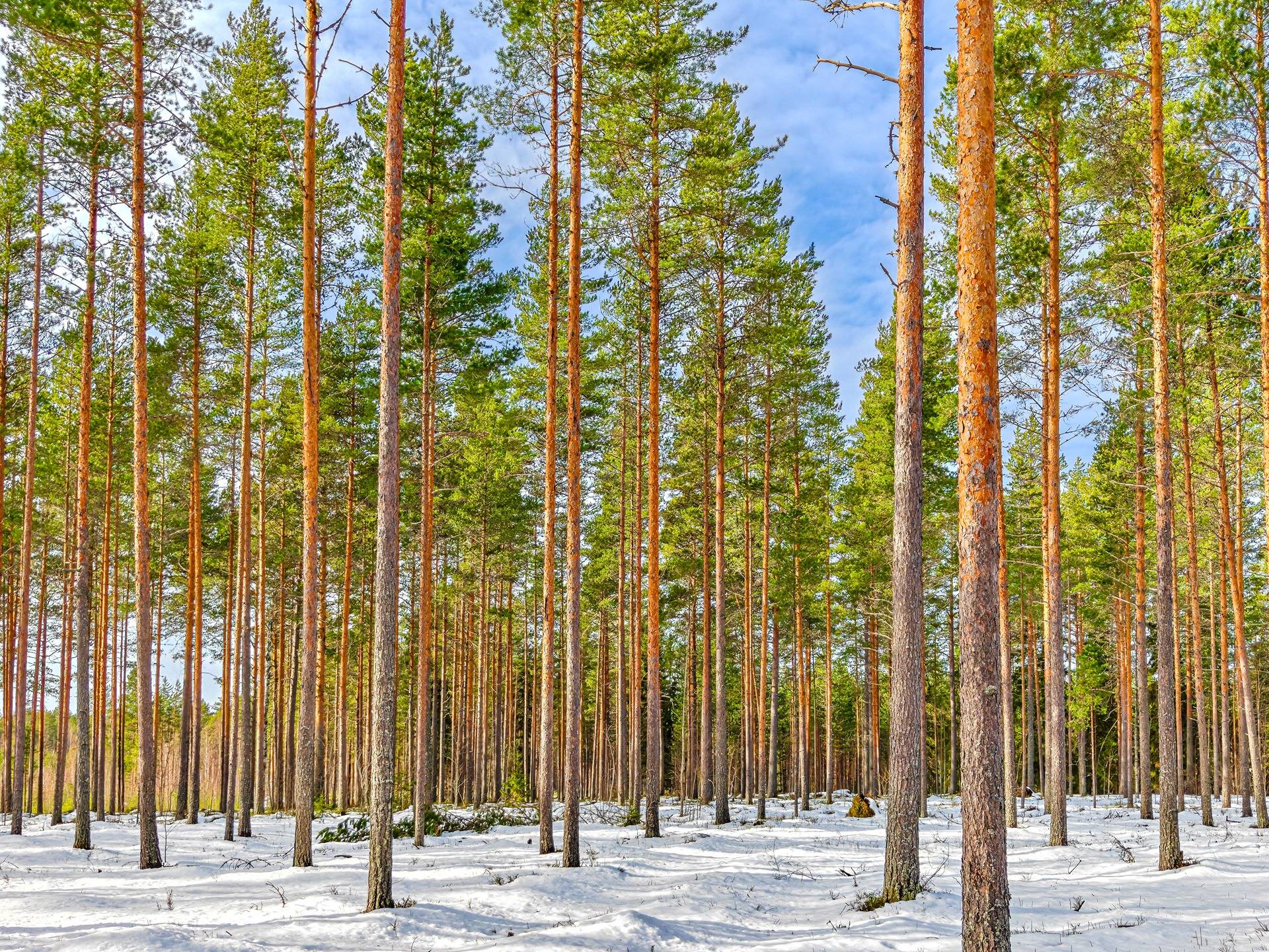 Lapua, Kauhajärvi, Miiluharjuntie, Oja 408-409-4-143 (määräala) 1