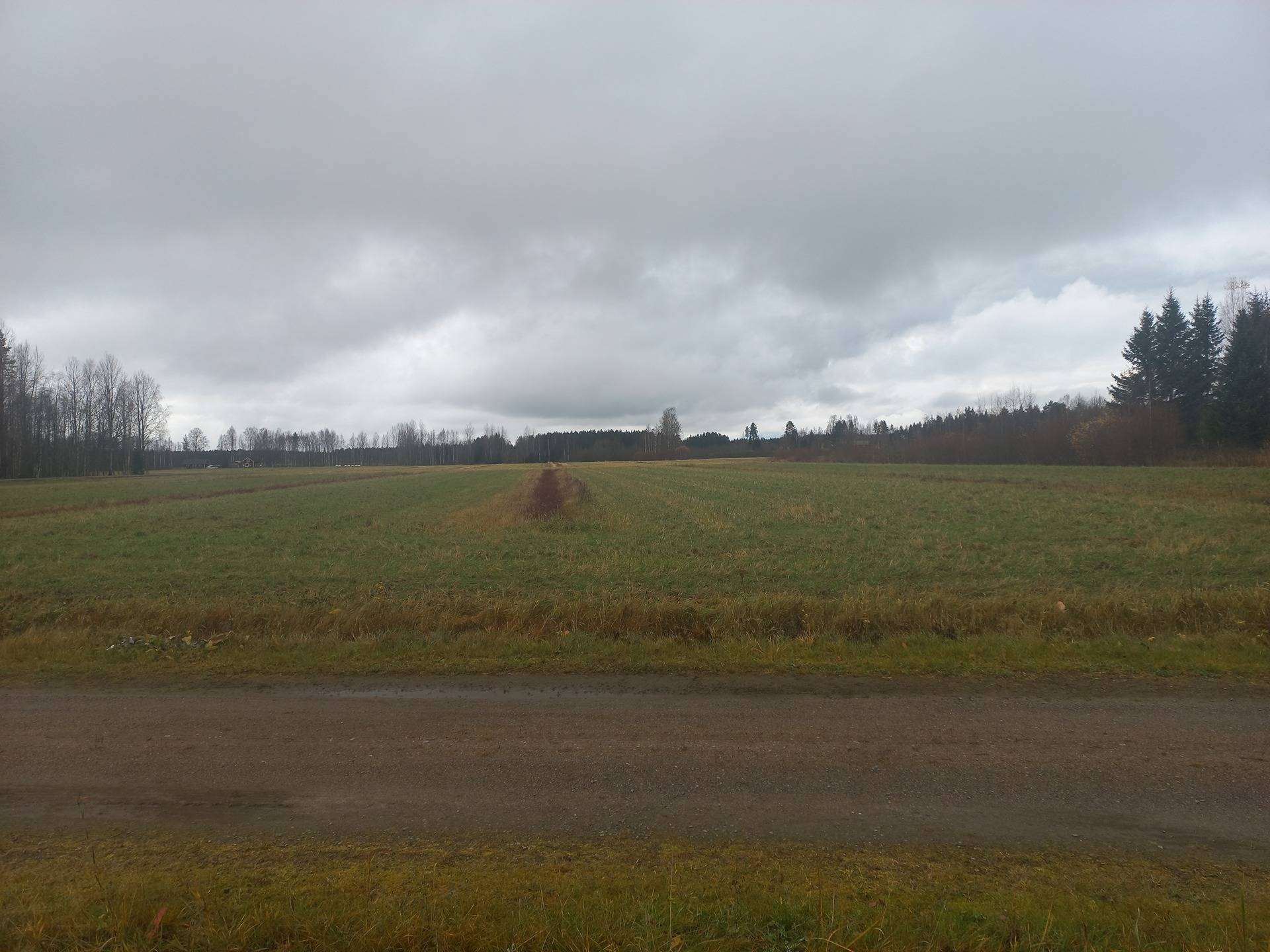Jalasjärvi Luoma, Harju ja Kallioinen 1