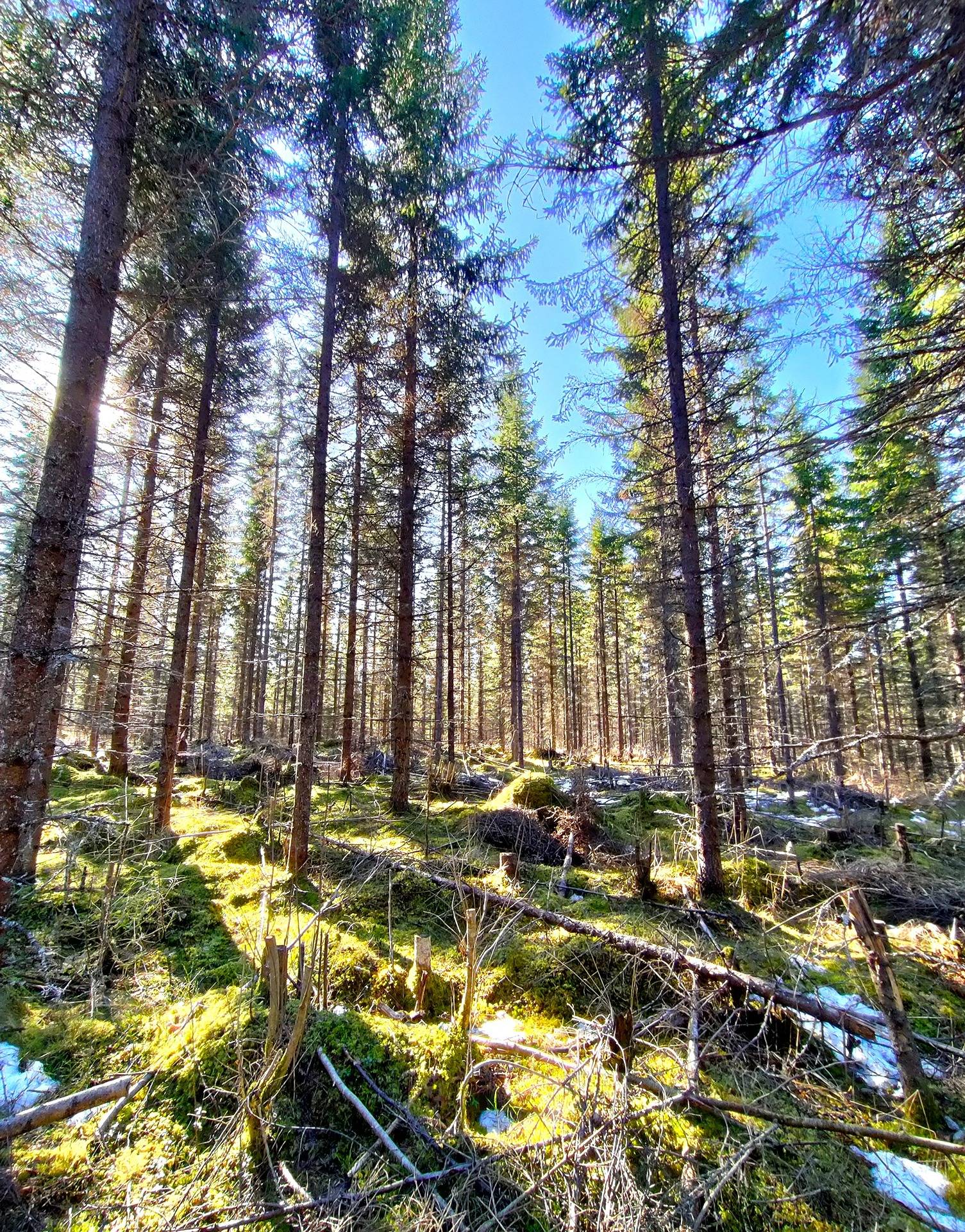 778-411-4-12 SYRJÄLÄ 1