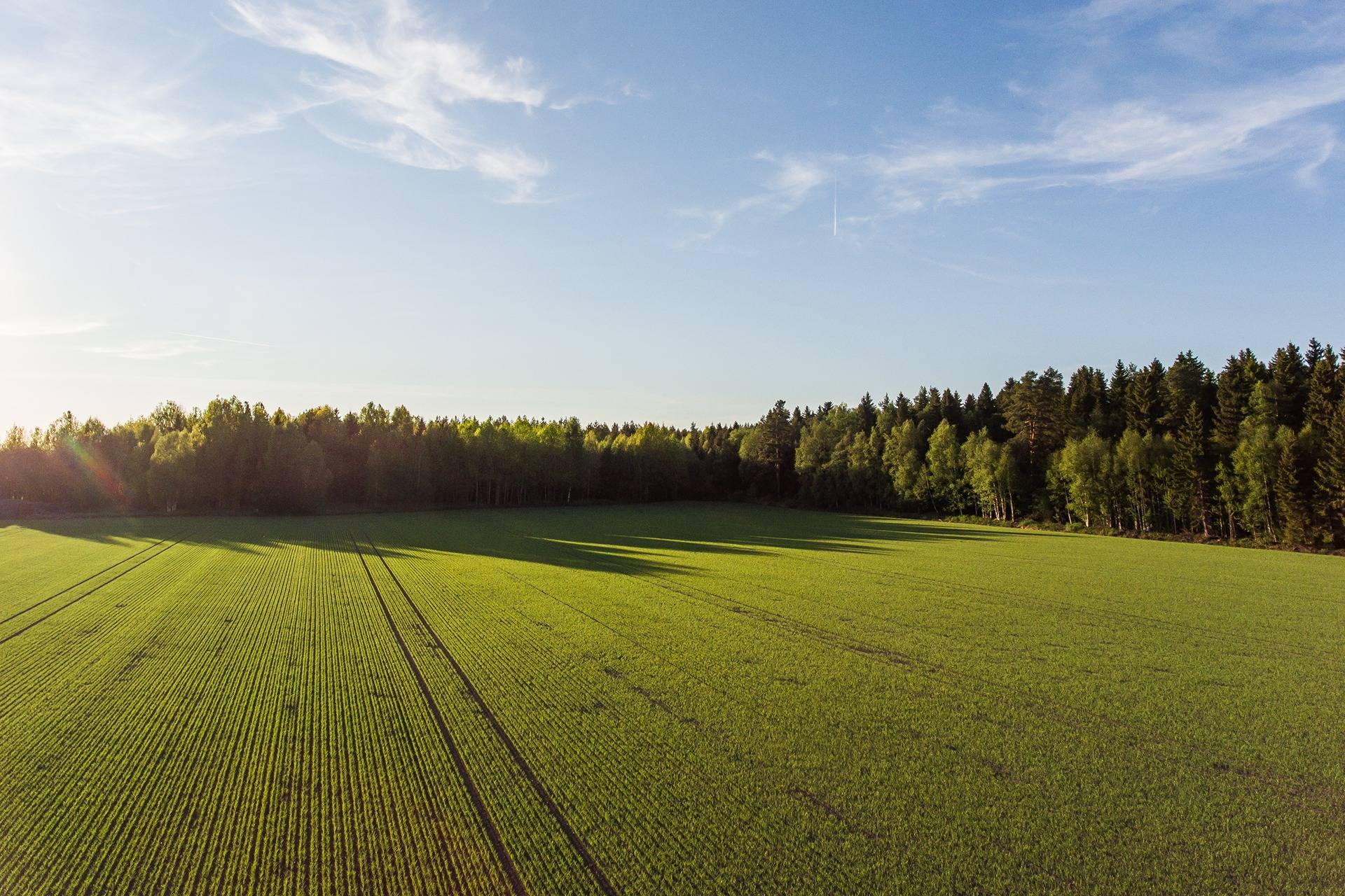 del av/osa Långmossa 10:14, Solf 1