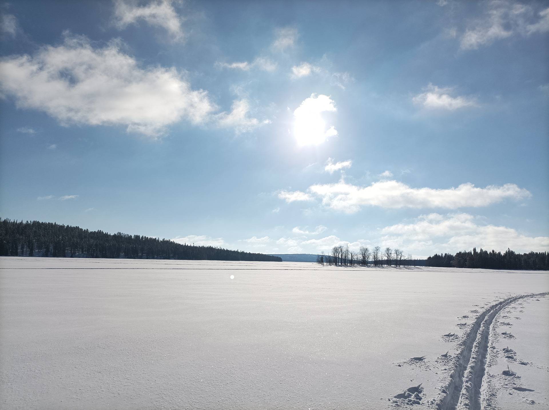 Kuusamon yhteismetsän osuus 1
