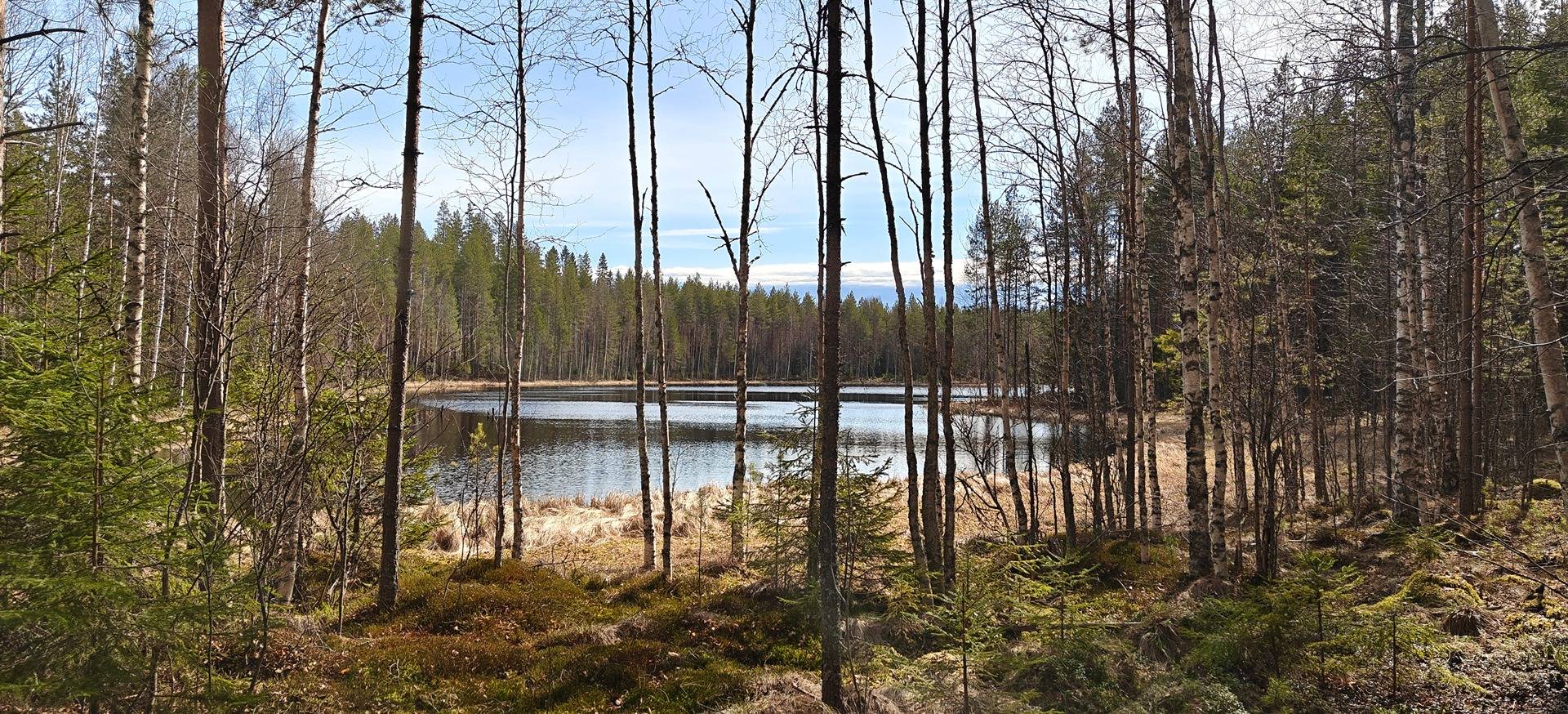 Haukimäki, Lammenkulma 892-403-8-175 1