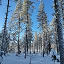 Kuusamon yhteismetsä osuus 0,024800 1