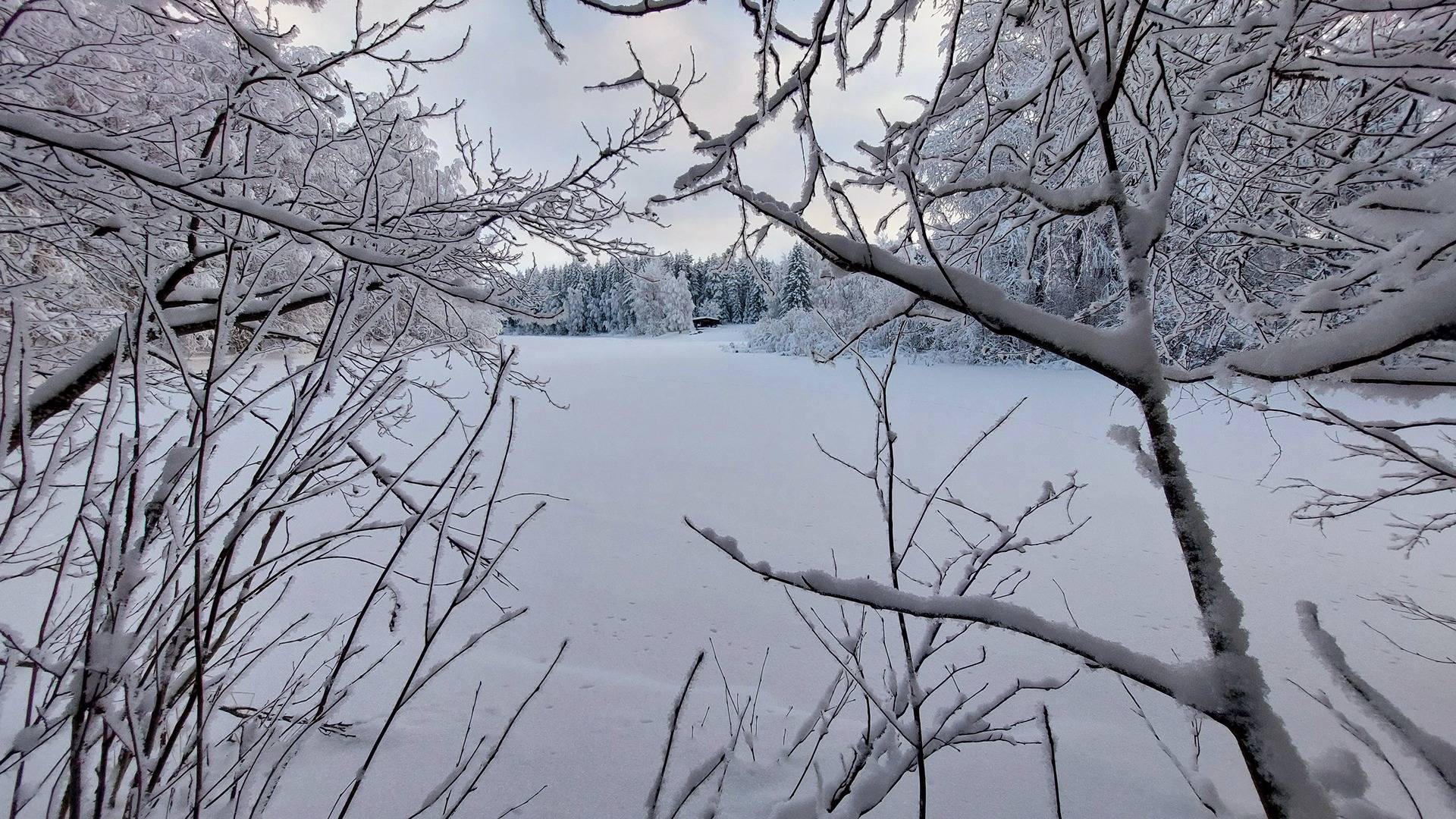 Erottamaton määräala (Alanko) 564-404-41-230-M602 1