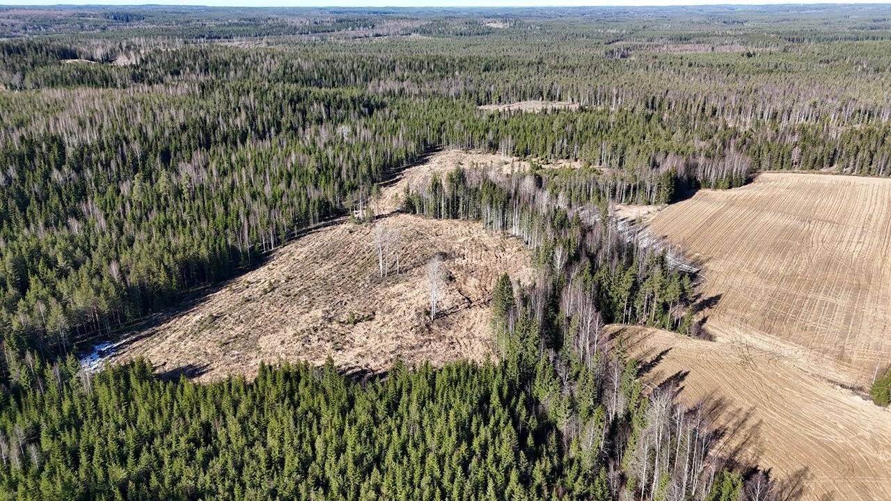 Orivesi, Hirsilä, Ryyppölä -metsätila 1