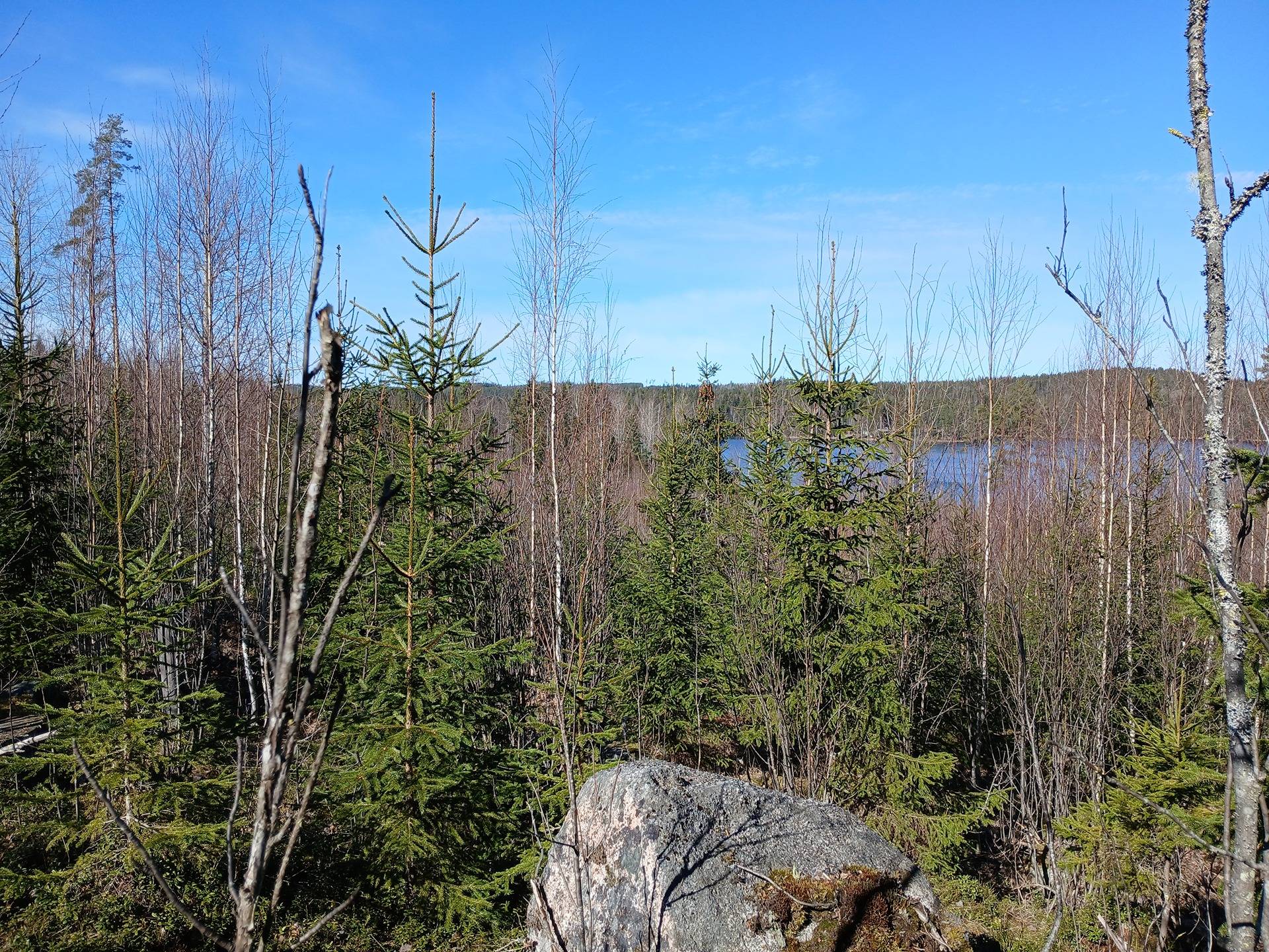 Haukkalammi 30:66 Kuhmoinen 1