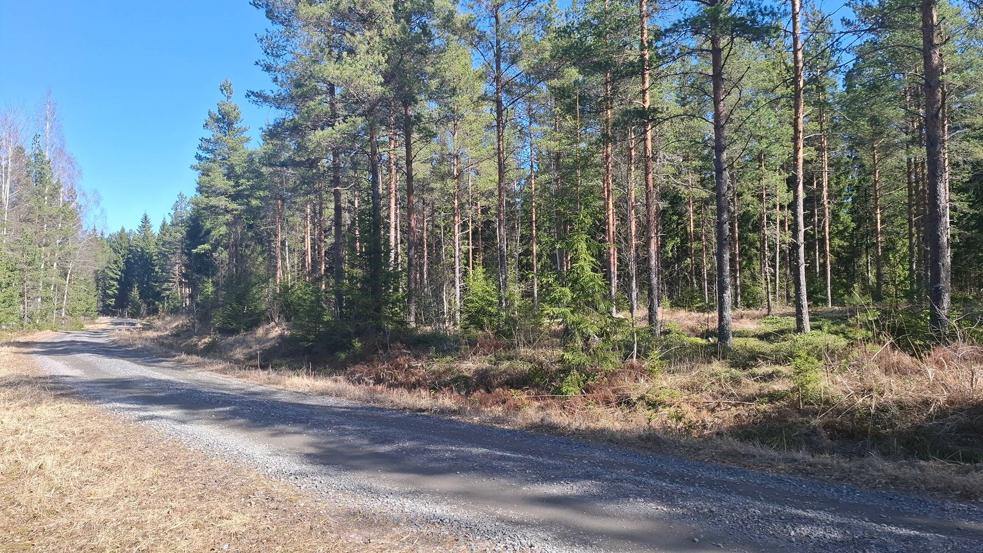 Määräala PAAVOLA 25:3; Köyliö / Säkylä 1