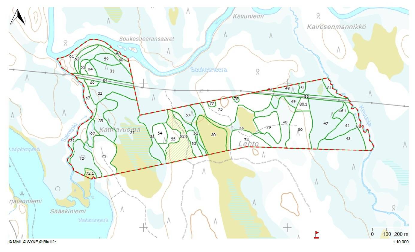 Loukinen 261-406-2-16 määräala 1