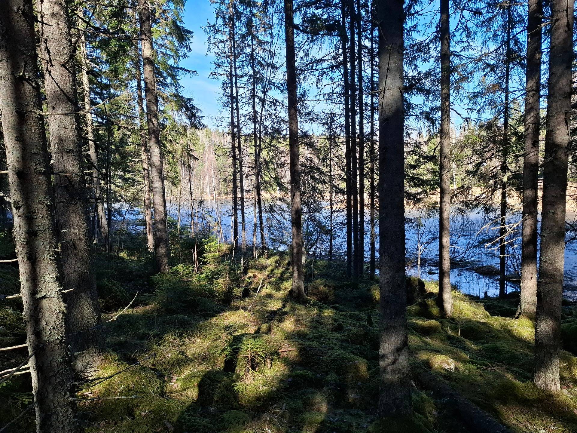 PALOMÄKI 418-455-1-88 1