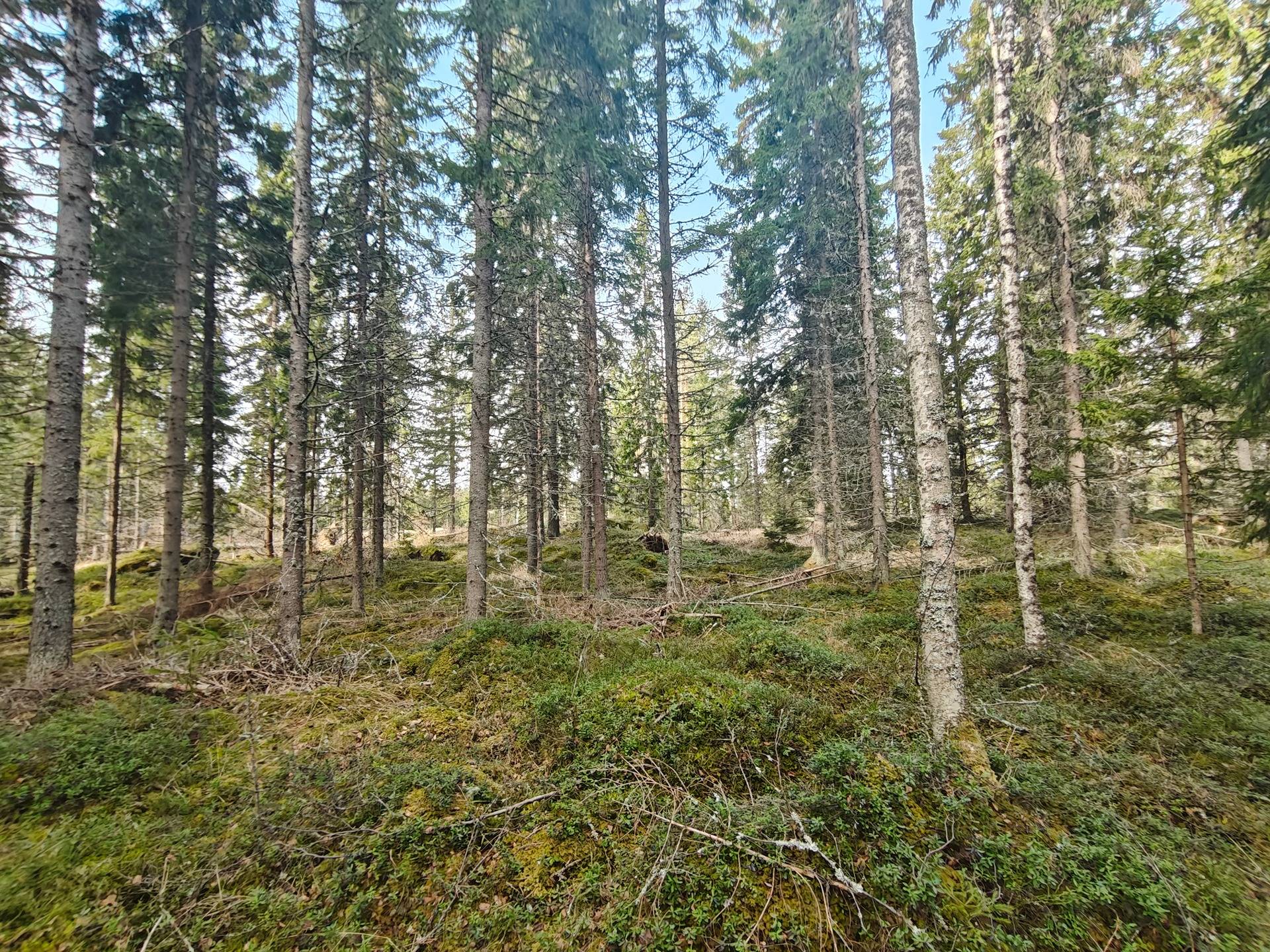 del av/osa Teirfolk 1:223, Lålby 1