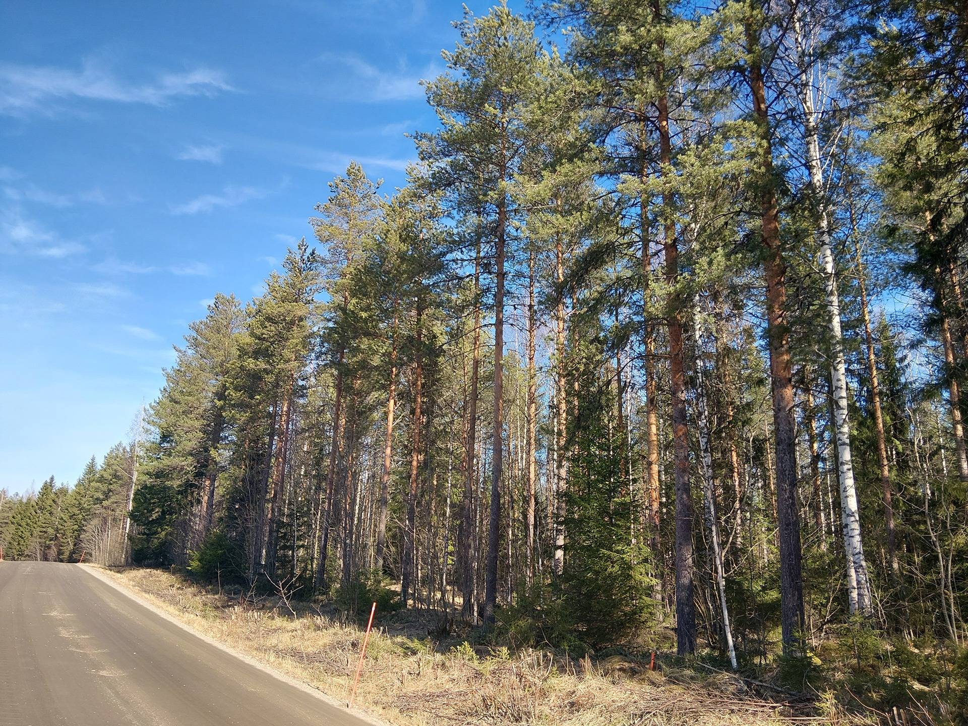 Pekkala 595-427-3-36 1