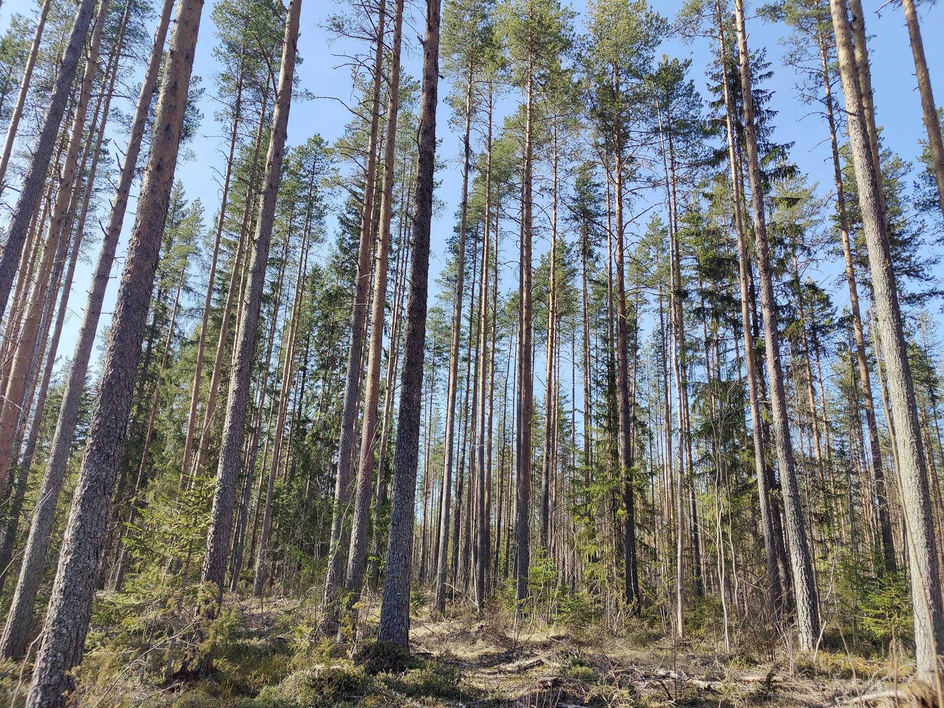 977-405-32-0 HEINITAIVAL 1